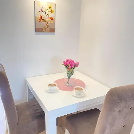 Mina Appartement Mataruska Banja